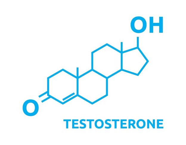 Testosterooni suurenemine pärast kasutamist Eroboost